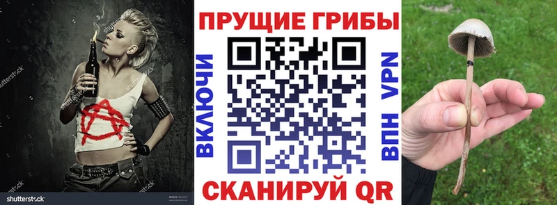 Галлюциногенные грибы прущие грибы  магазин продажи   Куса 